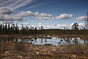 titulni