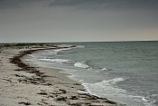 Poloostrov Falsterbo