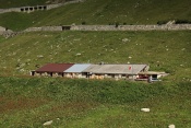 Oberalpenstafel u Andermattu
